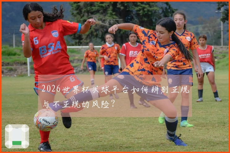 2026世界杯买球平台如何辨别正规与不正规的风险？