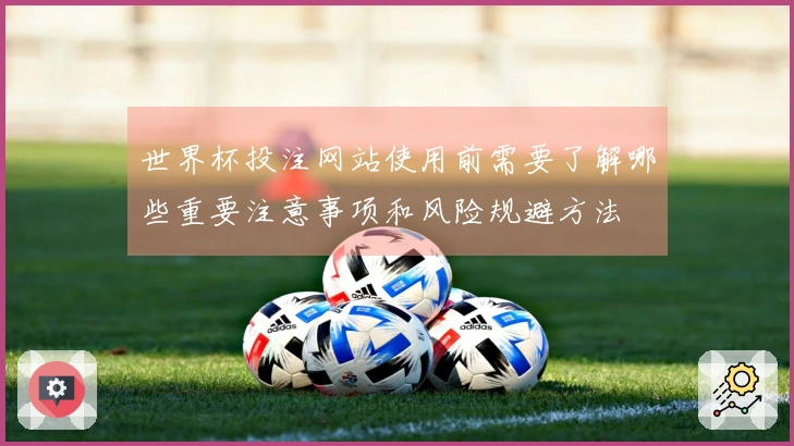 世界杯投注网站使用前需要了解哪些重要注意事项和风险规避方法