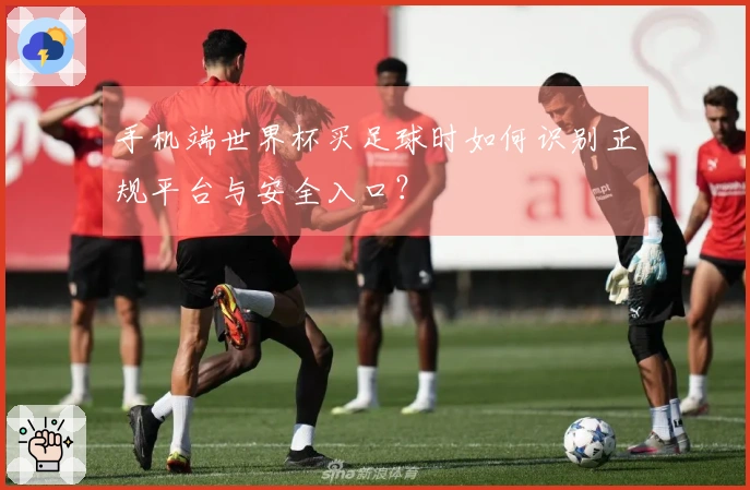 手机端世界杯买足球时如何识别正规平台与安全入口？