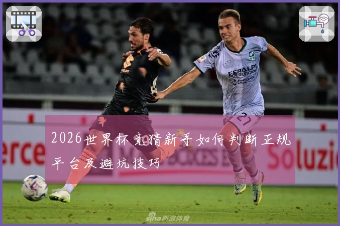 2026世界杯竞猜新手如何判断正规平台及避坑技巧